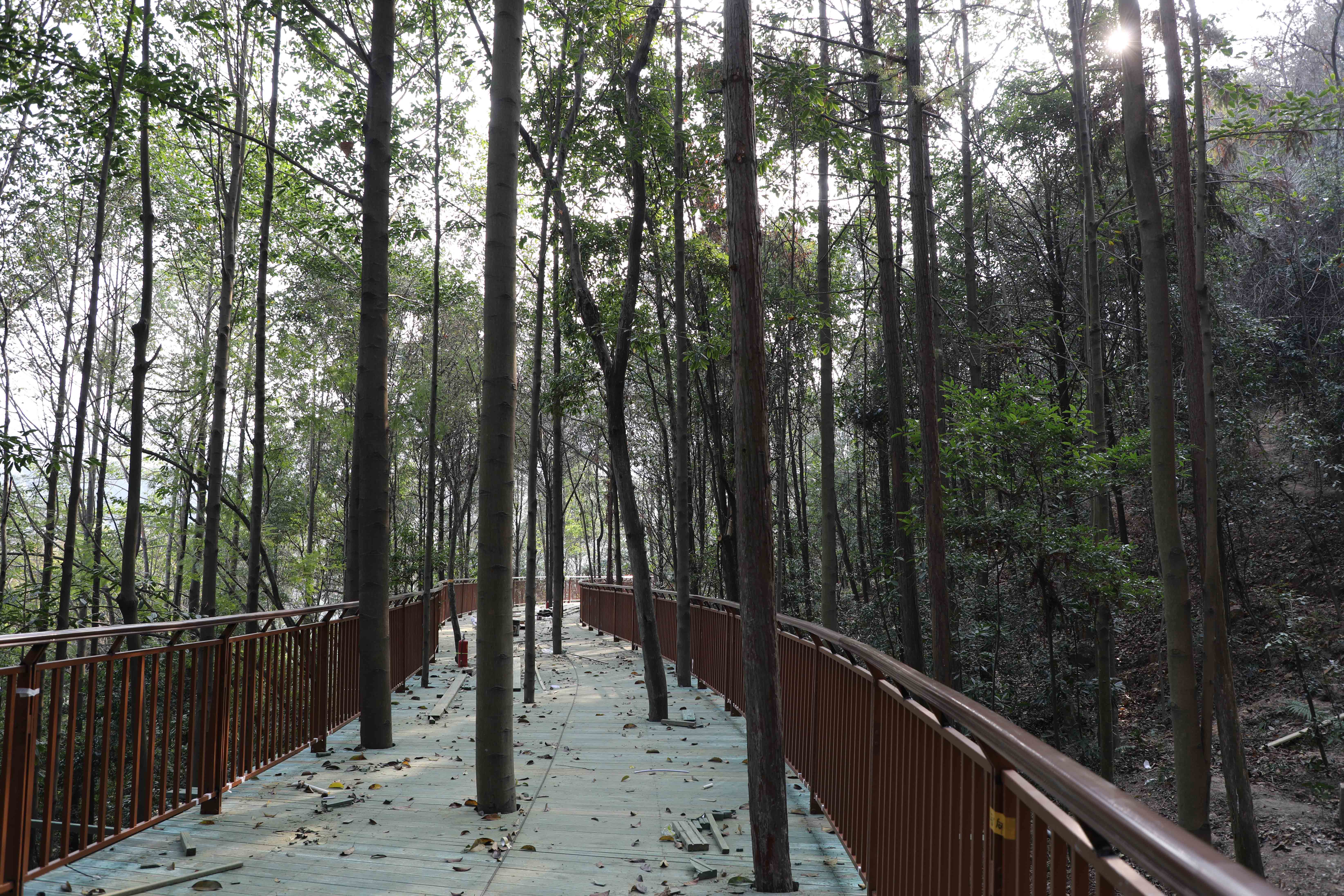 头图.jpg 头图.jpg